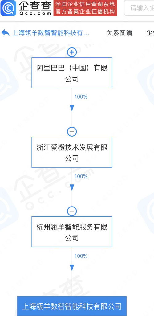 阿里巴巴旗下瓴羊數(shù)智科技公司落戶上海，加速數(shù)據(jù)處理與存儲(chǔ)服務(wù)布局