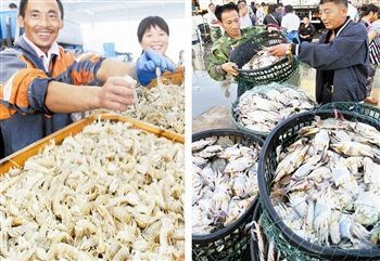 渤海休漁結(jié)束，開海喜迎豐收