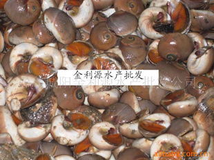 青島城陽金利源水產(chǎn)批發(fā)公司——水產(chǎn)品優(yōu)質供應與市場定位