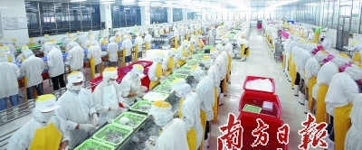 供給側結構性改革 驅動廣東漁業現代化與農產品升級的新引擎