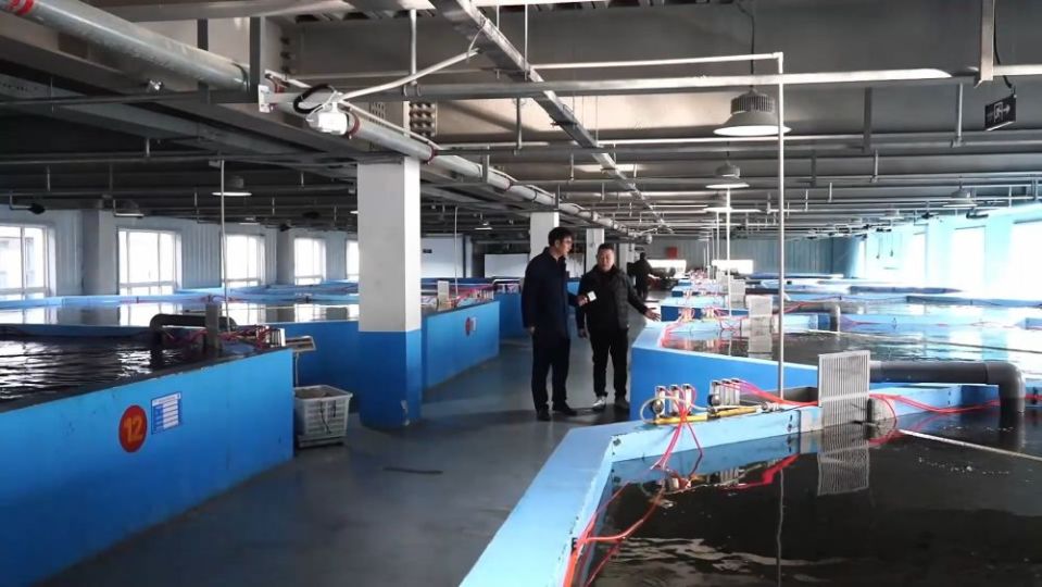 冬日暖陽里，聽一曲鄉村振興的“魚米”交響