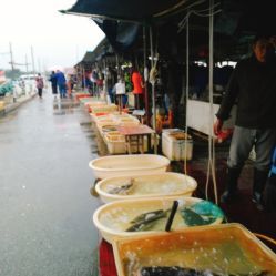 無錫小溪橋水產批發市場 地址、電話、營業時間與美食探尋指南