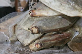 破冰專項行動顯威，黃埔海關查獲31億元特大走私進口凍水產品案