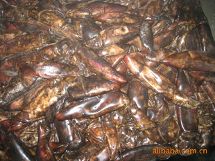 船凍紅魷魚 價格、廠家與粗加工水產品市場解析