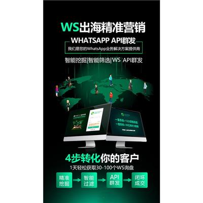 跨境新引擎 “萬(wàn)單哥”獨(dú)立站引流新模式與浙江軟件開發(fā)的力量